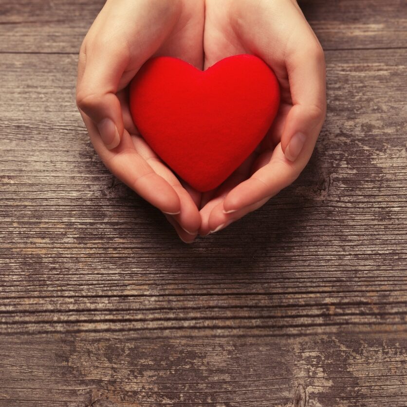 Female hands holding red heart
